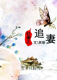 红楼追妻记 二甜呀