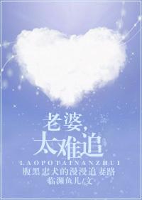 老婆不易追txt