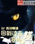 回到过去变成猫在线阅读