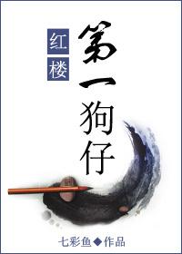 红楼第一狗仔晋江