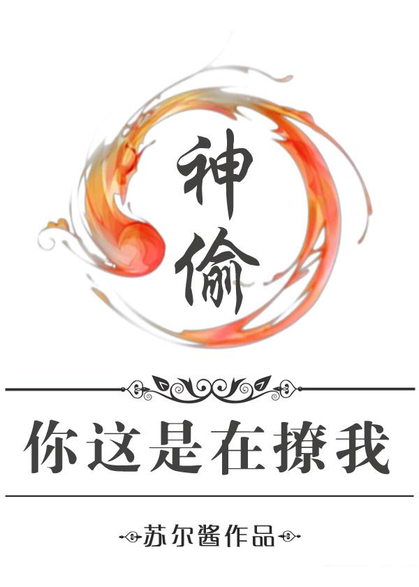 神偷就是我原文