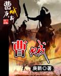 曹贼 庚新