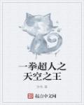 一拳超人天空王好不好用