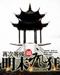 明末风暴简介