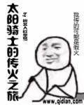 太阳骑士结局