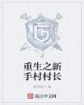 新手村的村长