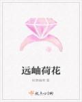 荷花远看像什么