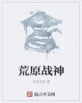 荒原veil