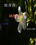 油桐花照片