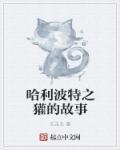哈利波特游戏獾院