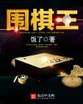 围棋王泽宇个人资料