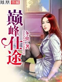 巅峰仕途续集