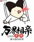万界娶妻系统