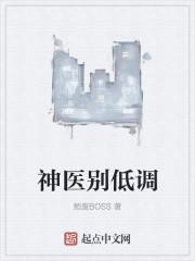 神医天降免费阅读