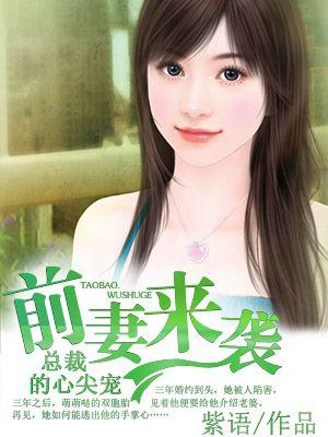 总裁的前妻回来了