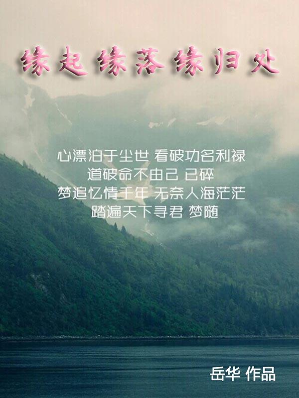缘落缘起视频