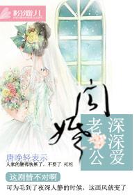 闪婚老公是隐藏首富免费阅读