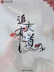 追夫日常[娱乐圈