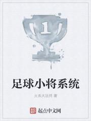 足球小将项目