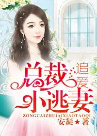 总裁追爱小淘妻全文免费