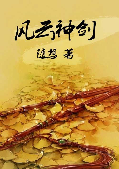 风云之剑神免费全本